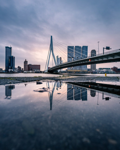 Juridische bijscholing in Rotterdam